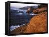 Rock Formations, Cape Kiwanda State Park, Oregon, USA-Charles Gurche-Framed Stretched Canvas