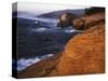 Rock Formations, Cape Kiwanda State Park, Oregon, USA-Charles Gurche-Stretched Canvas
