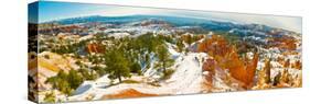 Rock Formations in a Canyon, Bryce Canyon, Bryce Canyon National Park, Red Rock Country, Utah, USA-null-Stretched Canvas