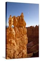 Rock Formations in Bryce Canyon National Park in Moonlight-Paul Souders-Stretched Canvas