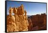 Rock Formations in Bryce Canyon National Park in Moonlight-Paul Souders-Framed Stretched Canvas