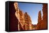 Rock Formations in Bryce Canyon National Park in Moonlight-Paul Souders-Framed Stretched Canvas