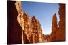 Rock Formations in Bryce Canyon National Park in Moonlight-Paul Souders-Stretched Canvas