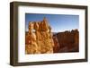 Rock Formations in Bryce Canyon National Park in Moonlight-Paul Souders-Framed Photographic Print