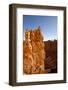 Rock Formations in Bryce Canyon National Park in Moonlight-Paul Souders-Framed Photographic Print