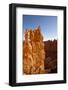 Rock Formations in Bryce Canyon National Park in Moonlight-Paul Souders-Framed Photographic Print