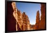 Rock Formations in Bryce Canyon National Park in Moonlight-Paul Souders-Framed Photographic Print