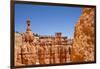 Rock Formations in Bryce Canyon National Park-Paul Souders-Framed Photographic Print