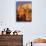 Rock formations in Goblin Valley State Park-Scott T^ Smith-Photographic Print displayed on a wall