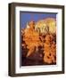 Rock formations in Goblin Valley State Park-Scott T^ Smith-Framed Photographic Print