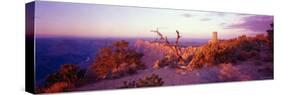 Rock Formations in Grand Canyon National Park, Desert Point, Arizona, USA-null-Stretched Canvas