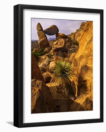 Rock Formations in Grapevine Hills, Big Bend National Park, Texas, USA-Jerry Ginsberg-Framed Photographic Print