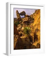 Rock Formations in Grapevine Hills, Big Bend National Park, Texas, USA-Jerry Ginsberg-Framed Photographic Print