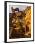 Rock Formations in Grapevine Hills, Big Bend National Park, Texas, USA-Jerry Ginsberg-Framed Photographic Print