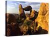 Rock Formations in Grapevine Hills, Big Bend National Park, Texas, USA-Jerry Ginsberg-Stretched Canvas