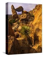 Rock Formations in Grapevine Hills, Big Bend National Park, Texas, USA-Jerry Ginsberg-Stretched Canvas