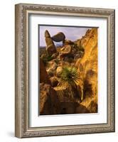 Rock Formations in Grapevine Hills, Big Bend National Park, Texas, USA-Jerry Ginsberg-Framed Photographic Print