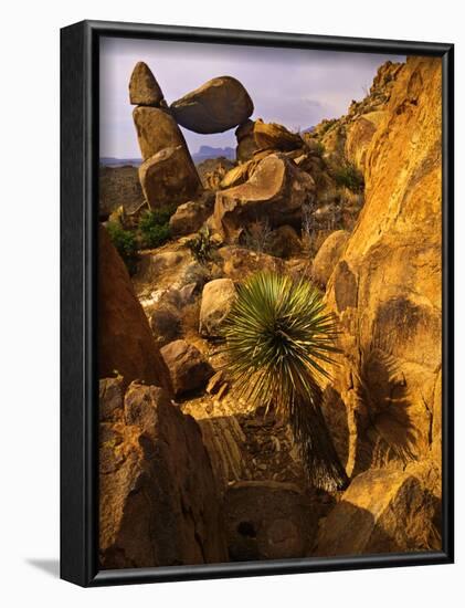 Rock Formations in Grapevine Hills, Big Bend National Park, Texas, USA-Jerry Ginsberg-Framed Photographic Print