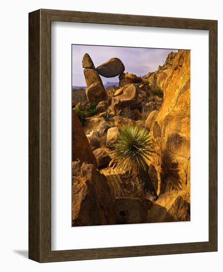 Rock Formations in Grapevine Hills, Big Bend National Park, Texas, USA-Jerry Ginsberg-Framed Photographic Print