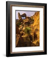 Rock Formations in Grapevine Hills, Big Bend National Park, Texas, USA-Jerry Ginsberg-Framed Photographic Print