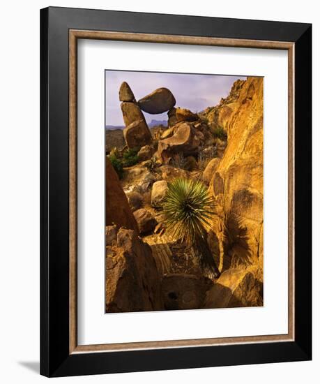 Rock Formations in Grapevine Hills, Big Bend National Park, Texas, USA-Jerry Ginsberg-Framed Photographic Print