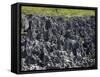 Rock Formations in Hell, Grand Cayman, Cayman Islands, Greater Antilles, West Indies, Caribbean-Richard Cummins-Framed Stretched Canvas