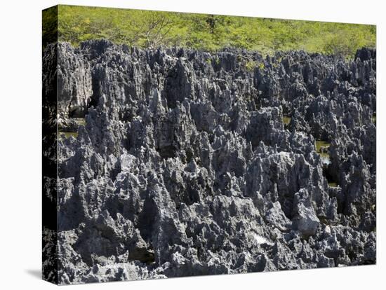 Rock Formations in Hell, Grand Cayman, Cayman Islands, Greater Antilles, West Indies, Caribbean-Richard Cummins-Stretched Canvas