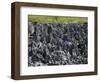 Rock Formations in Hell, Grand Cayman, Cayman Islands, Greater Antilles, West Indies, Caribbean-Richard Cummins-Framed Photographic Print