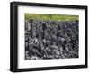 Rock Formations in Hell, Grand Cayman, Cayman Islands, Greater Antilles, West Indies, Caribbean-Richard Cummins-Framed Photographic Print
