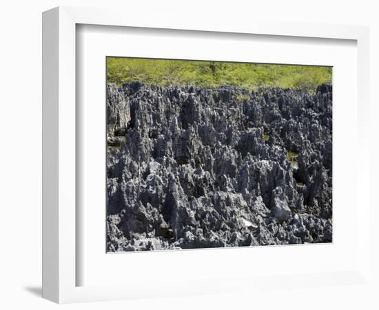 Rock Formations in Hell, Grand Cayman, Cayman Islands, Greater Antilles, West Indies, Caribbean-Richard Cummins-Framed Photographic Print