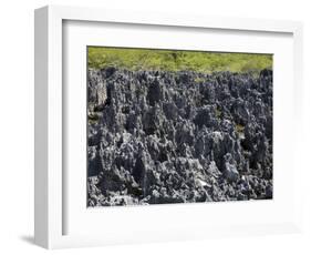 Rock Formations in Hell, Grand Cayman, Cayman Islands, Greater Antilles, West Indies, Caribbean-Richard Cummins-Framed Photographic Print