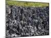 Rock Formations in Hell, Grand Cayman, Cayman Islands, Greater Antilles, West Indies, Caribbean-Richard Cummins-Mounted Photographic Print