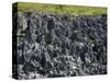 Rock Formations in Hell, Grand Cayman, Cayman Islands, Greater Antilles, West Indies, Caribbean-Richard Cummins-Stretched Canvas