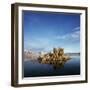 Rock Formations in Mono Lake-Micha Pawlitzki-Framed Premium Photographic Print