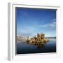 Rock Formations in Mono Lake-Micha Pawlitzki-Framed Premium Photographic Print