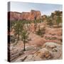 Rock Formations in the Lower Kolob Plateau, Pine, Zion National Park, Utah, Usa-Rainer Mirau-Stretched Canvas