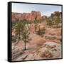 Rock Formations in the Lower Kolob Plateau, Pine, Zion National Park, Utah, Usa-Rainer Mirau-Framed Stretched Canvas