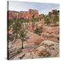 Rock Formations in the Lower Kolob Plateau, Pine, Zion National Park, Utah, Usa-Rainer Mirau-Stretched Canvas