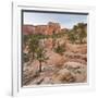 Rock Formations in the Lower Kolob Plateau, Pine, Zion National Park, Utah, Usa-Rainer Mirau-Framed Photographic Print