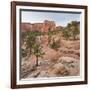 Rock Formations in the Lower Kolob Plateau, Pine, Zion National Park, Utah, Usa-Rainer Mirau-Framed Photographic Print