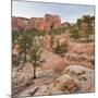 Rock Formations in the Lower Kolob Plateau, Pine, Zion National Park, Utah, Usa-Rainer Mirau-Mounted Photographic Print