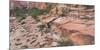 Rock Formations in the Lower Kolob Plateau, Zion National Park, Utah, Usa-Rainer Mirau-Mounted Photographic Print