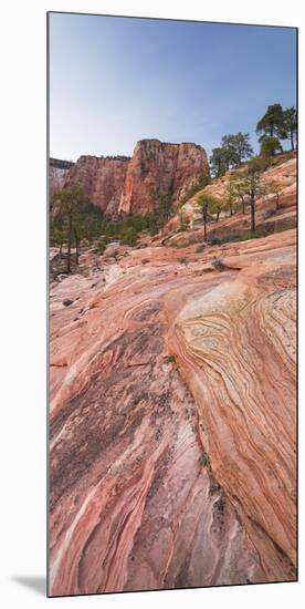 Rock Formations in the Lower Kolob Plateau, Zion National Park, Utah, Usa-Rainer Mirau-Mounted Photographic Print