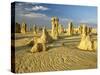 Rock Formations in the Pinnacle Desert in Nambung National Park Near Perth, Western Australia-Gavin Hellier-Stretched Canvas