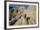 Rock Formations in Theodore Roosevelt National Park-Paul Souders-Framed Photographic Print