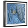 Rock Formations in Verzasca Valley-Micha Pawlitzki-Framed Photographic Print