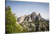 Rock Formations Of Montserrat Natural Park. Barcelona Province. Catalonia. Spain-Oscar Dominguez-Stretched Canvas