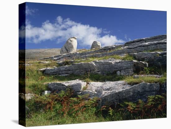 Rock Formations of the Burren, County Clare, Munster, Republic of Ireland, Europe-Rainford Roy-Stretched Canvas