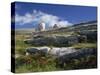 Rock Formations of the Burren, County Clare, Munster, Republic of Ireland, Europe-Rainford Roy-Stretched Canvas