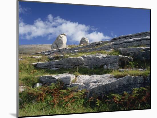 Rock Formations of the Burren, County Clare, Munster, Republic of Ireland, Europe-Rainford Roy-Mounted Photographic Print